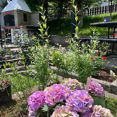 Rose Holiday home Sarajevo