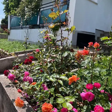 Rose Holiday home *